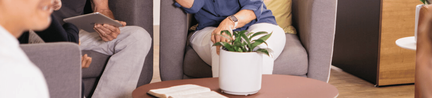 image of potted plant on coffee table and people's hands